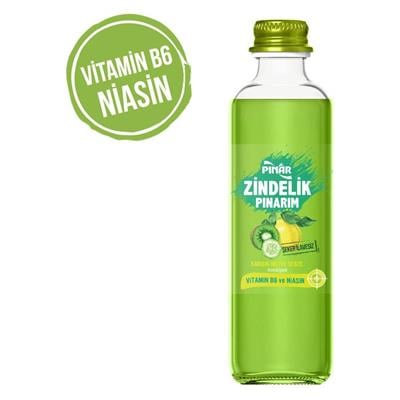 PINAR ZINDELIK 250ml MEYVELI IÇECEK