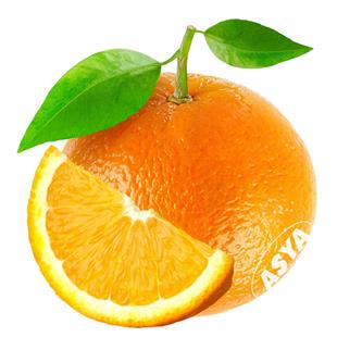 Portakal Finike (Kg)