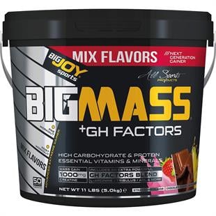 BigJoy Sports Bigmass +GH Factors Muzlu 5 kg