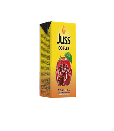 Juss Cooler Elma Vişne Meyve Suyu 200 ml