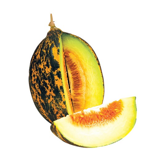 Kavun Kırkağaç kg