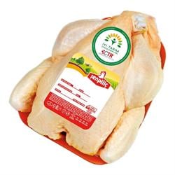 Şenpiliç Poşet Piliç İri Kg 1950 gr Üstü