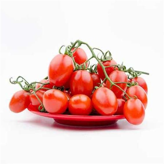 Domates Kokteyl Kg